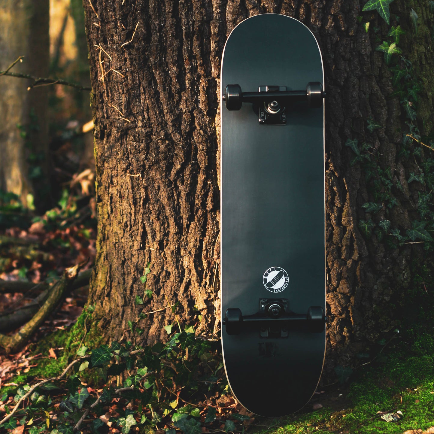 All Black schwarzes Skateboard steht an einen Baum gelehnt im Wald